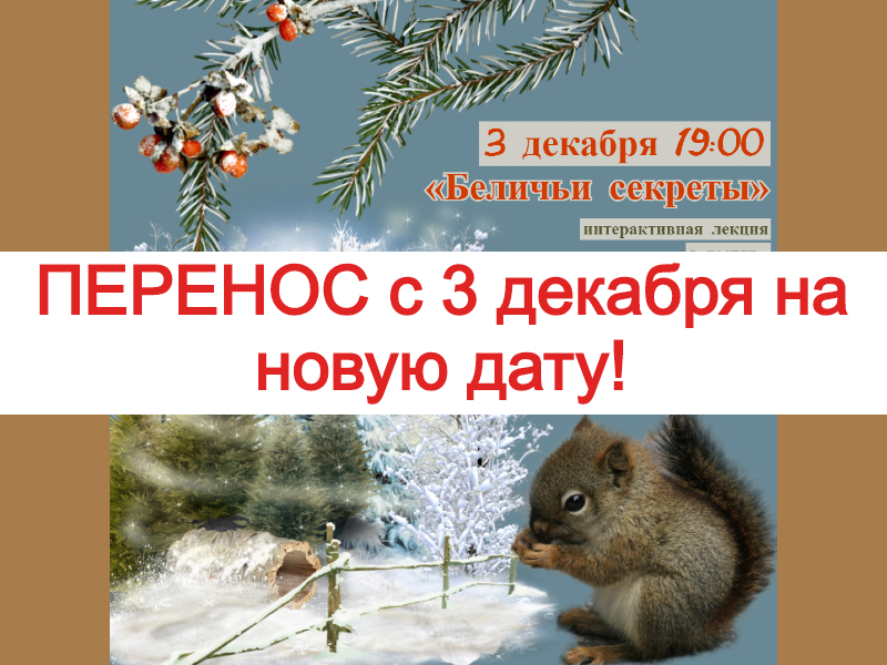 17 декабря 19:00. «Беличьи секреты». Интерактивная лекция с основателями проекта «Белочка Парк»