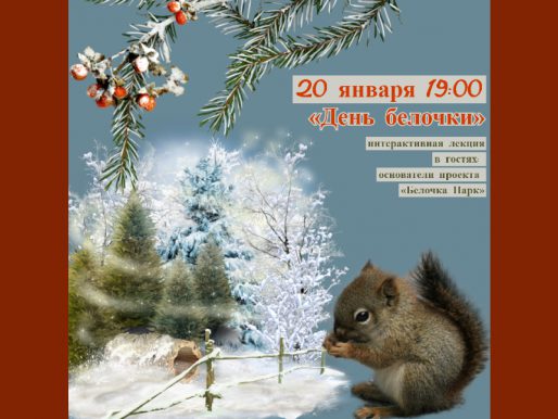 20 января 19:00. День Белочки. Интерактивная лекция от команды основателей «Белочка-парк».