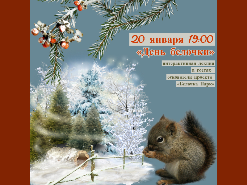 20 января 19:00. День Белочки. Интерактивная лекция от команды основателей «Белочка-парк».