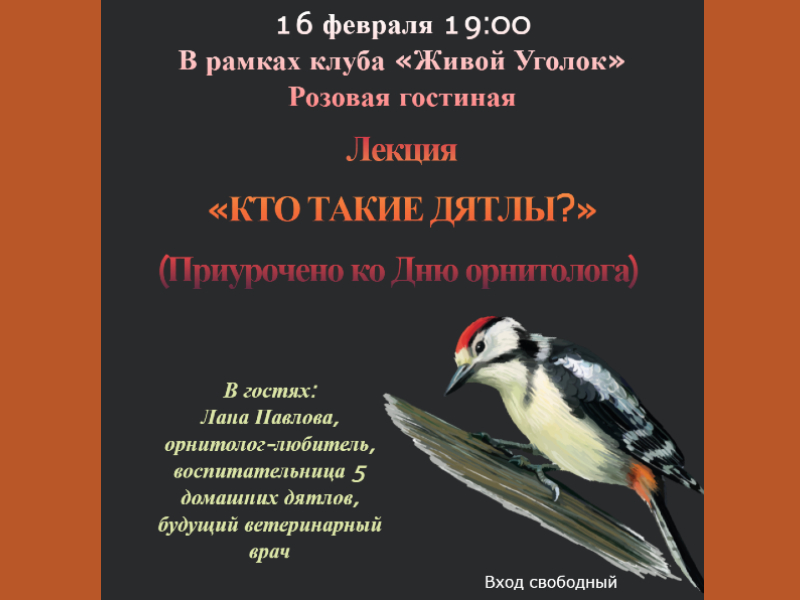 16 февраля 19:00. «Кто такие дятлы?». Лекция, приуроченная ко Дню орнитолога
