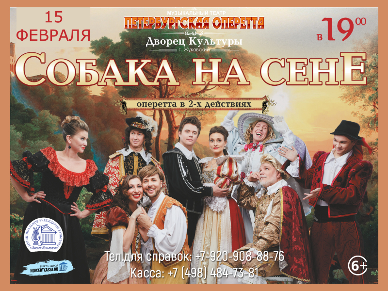 15 февраля 19:00. «Собака на сене» /Петербургская оперетта.