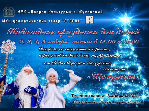 5 января 12:00. Новогоднее представление/ Спектакль «Щелкунчик и Мышиный Король»/ Театр Стрела