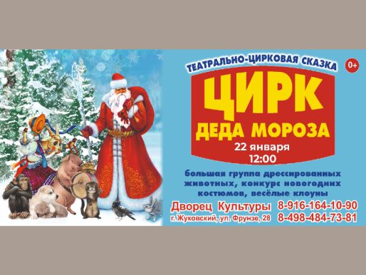 22 января 12:00. Цирк Деда Мороза / Цирк