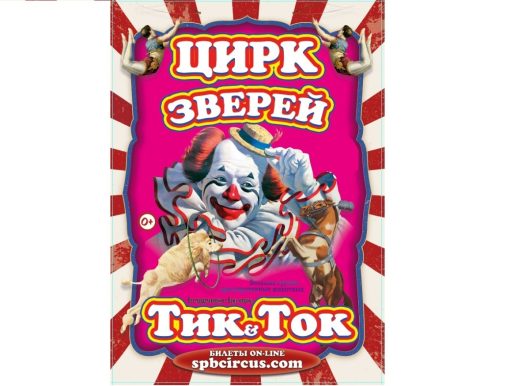 3 декабря 2022 17:00. «Цирк зверей ТИК&ТОК» / Цирк