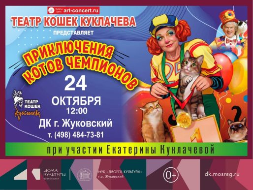 24 октября 2026 12:00. «Приключения котов-чемпионов» / Спектакль